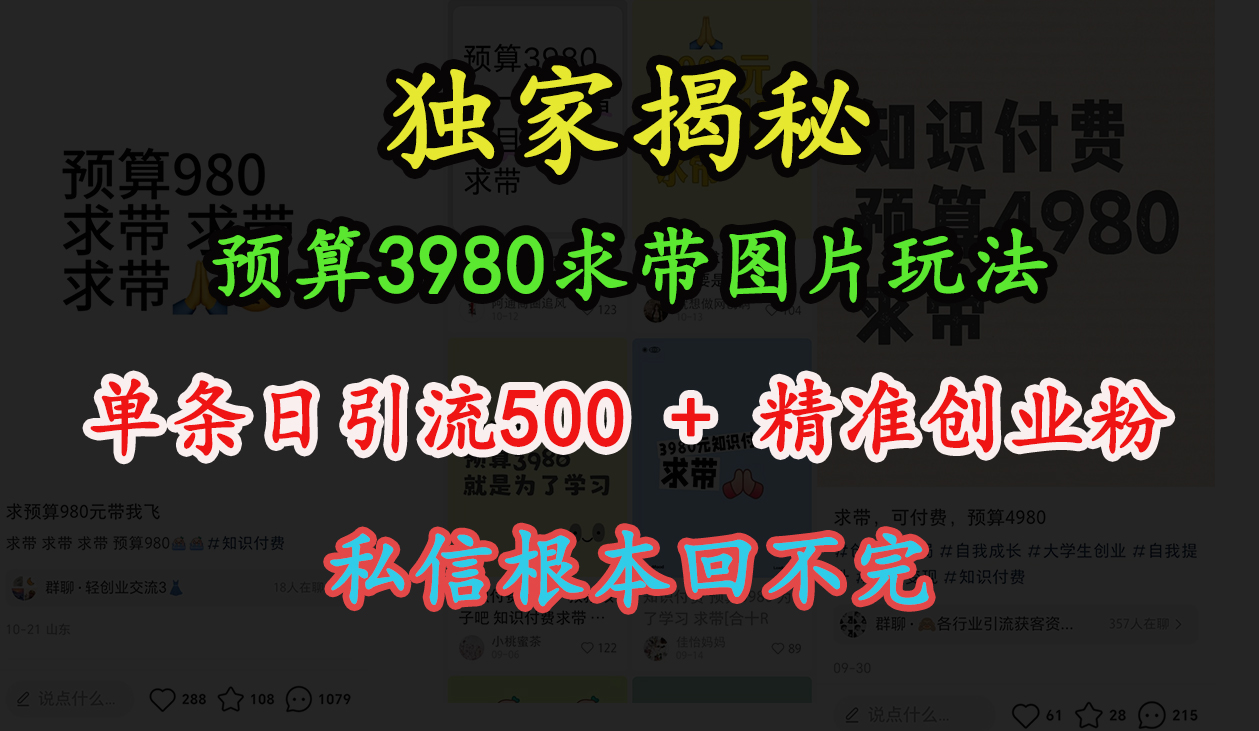 “小hong.书”预算3980求带图片玩法,单条500+精准创业粉,私信根本回不完